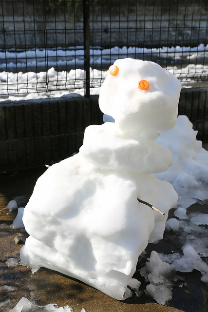 Jan, 14-15, 2013: Snow