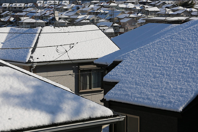 Jan, 14-15, 2013: Snow