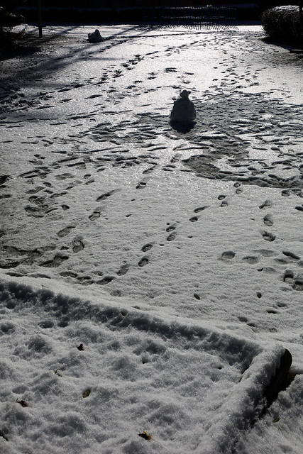 Jan, 14-15, 2013: Snow