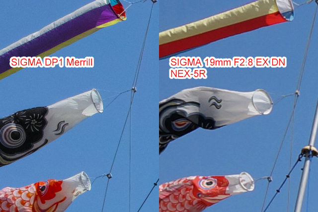 NEX-5R + SIGMA 19mm F2.8 EX DN