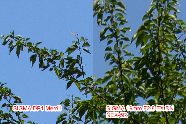 NEX-5R + SIGMA 19mm F2.8 EX DN