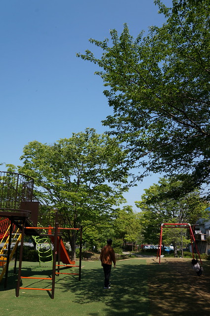 NEX-5R + SIGMA 19mm F2.8 EX DN