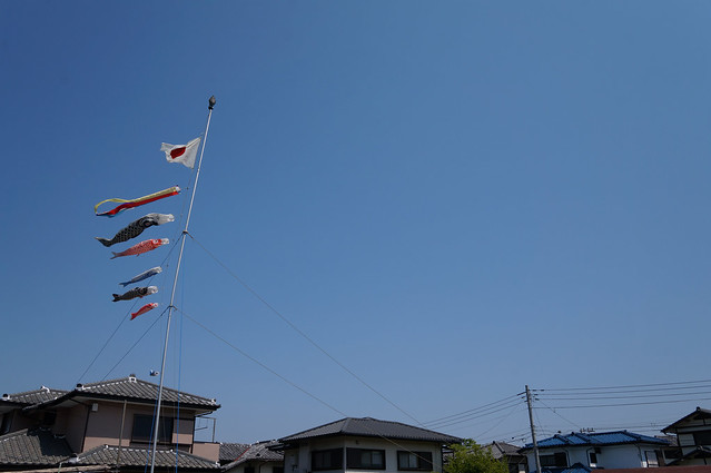 NEX-5R + SIGMA 19mm F2.8 EX DN