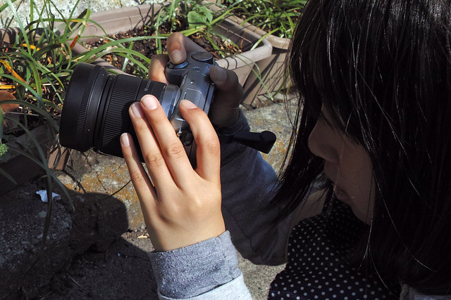 NEX-5R + SIGMA 19mm F2.8 EX DN